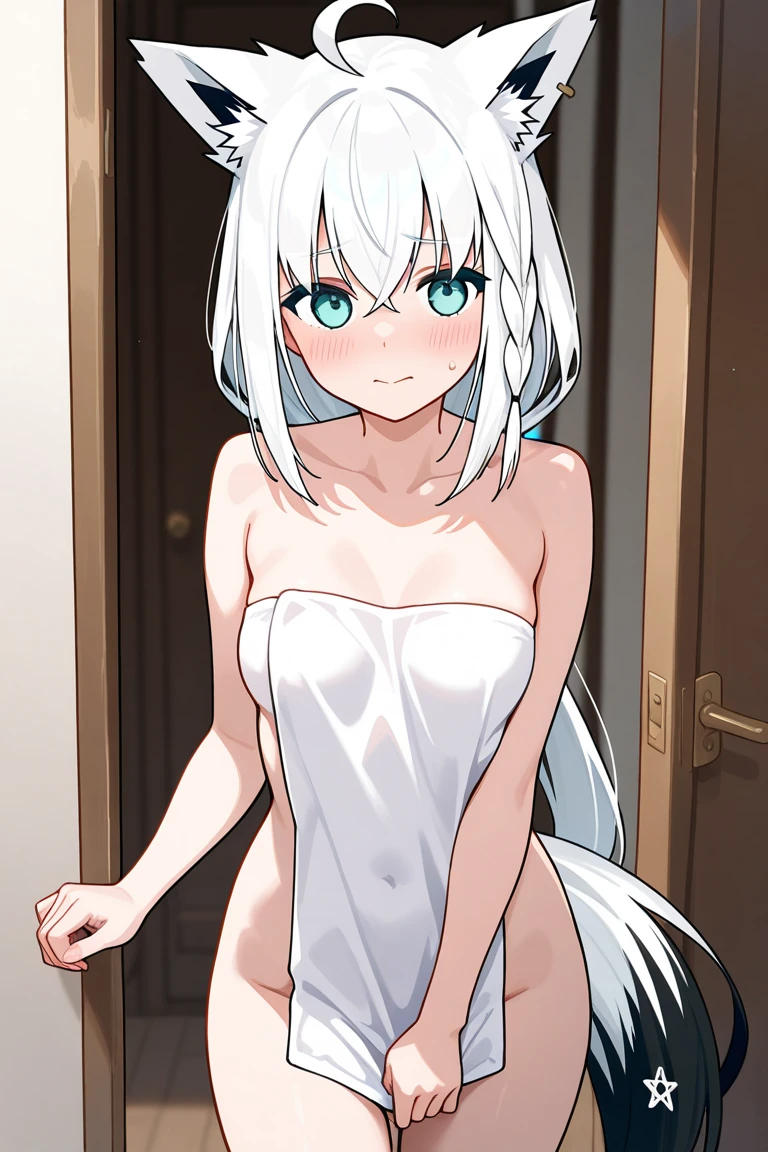 Cat ears, white hair, naked, sign