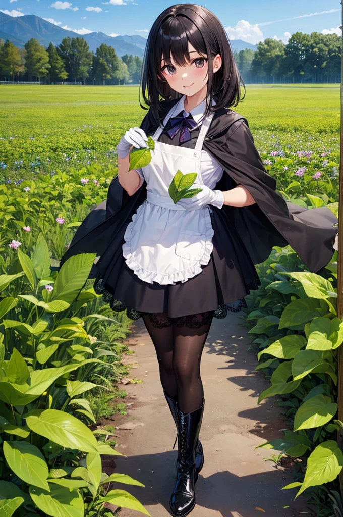 anime girl with a basket of flowers and a flower in her hand, black - haired mage, anime girl wearing a black dress, nico robin, by Jin Homura, !!full body portrait!!, 1 7 - year - old anime goth girl, gothic maiden anime girl, :14 80s anime style, rei hino as a princess, anime woman fullbody art