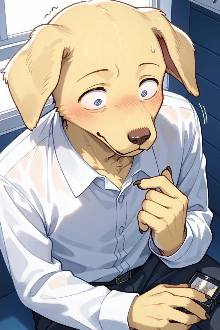 Beastars、Jack、Furry、Retriever Boy、beige fur、Folded ears、On the bed、Inviting Eyes、Erect penis、Ahead of the curve