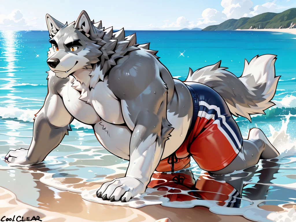 1 boy, solo, furry, light-white fur, brown fur, white beard, anthro (wolf), male, middle-aged, gray body, white belly, tail, drink sperm, high quality, super detail, 1080P, high quality, best quality, 8k, super detail, 16k, highres, HD, 16k, highres, HD, natural light, jockstrap wet, lower body is raised in the crotch, perject face, detail eyes, smile at you, beach, foot in the water