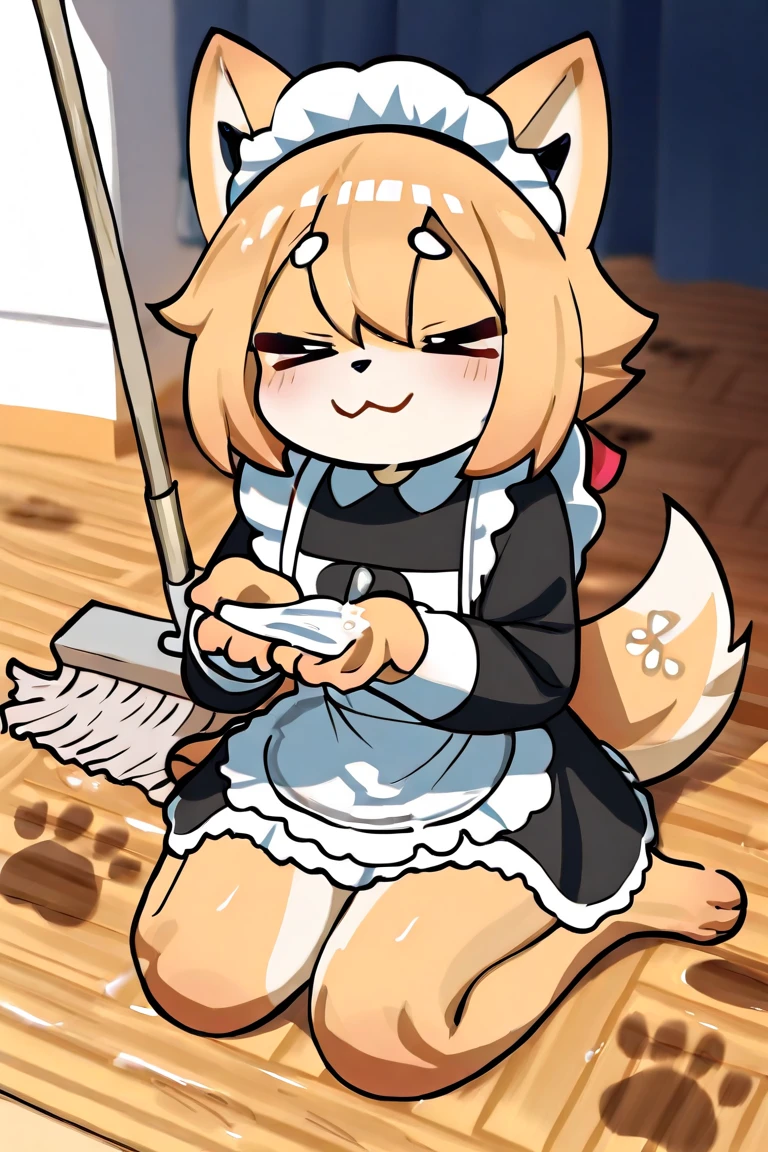A male Wolf hybrid cat with Orange fur with blue colour eyes, wear maid clothes and he begging to stop with tail being hold tight and pull by hand, body trembling and Satisfied with small cock are have fuck in public
