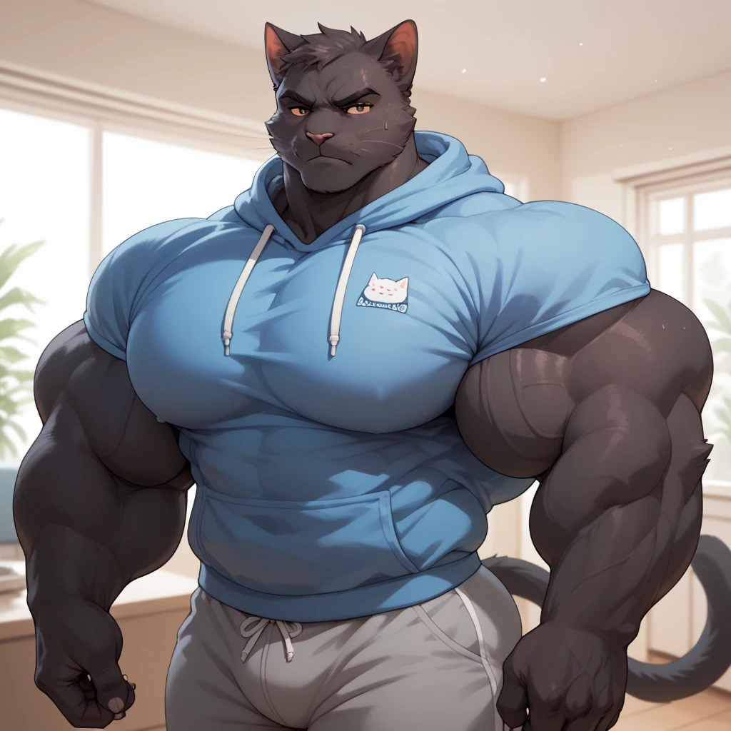 furry growth, hyper growth, hyper muscles, a cat, black cute cat, shirtless, white shorts, muscular, in a small and very tight closet