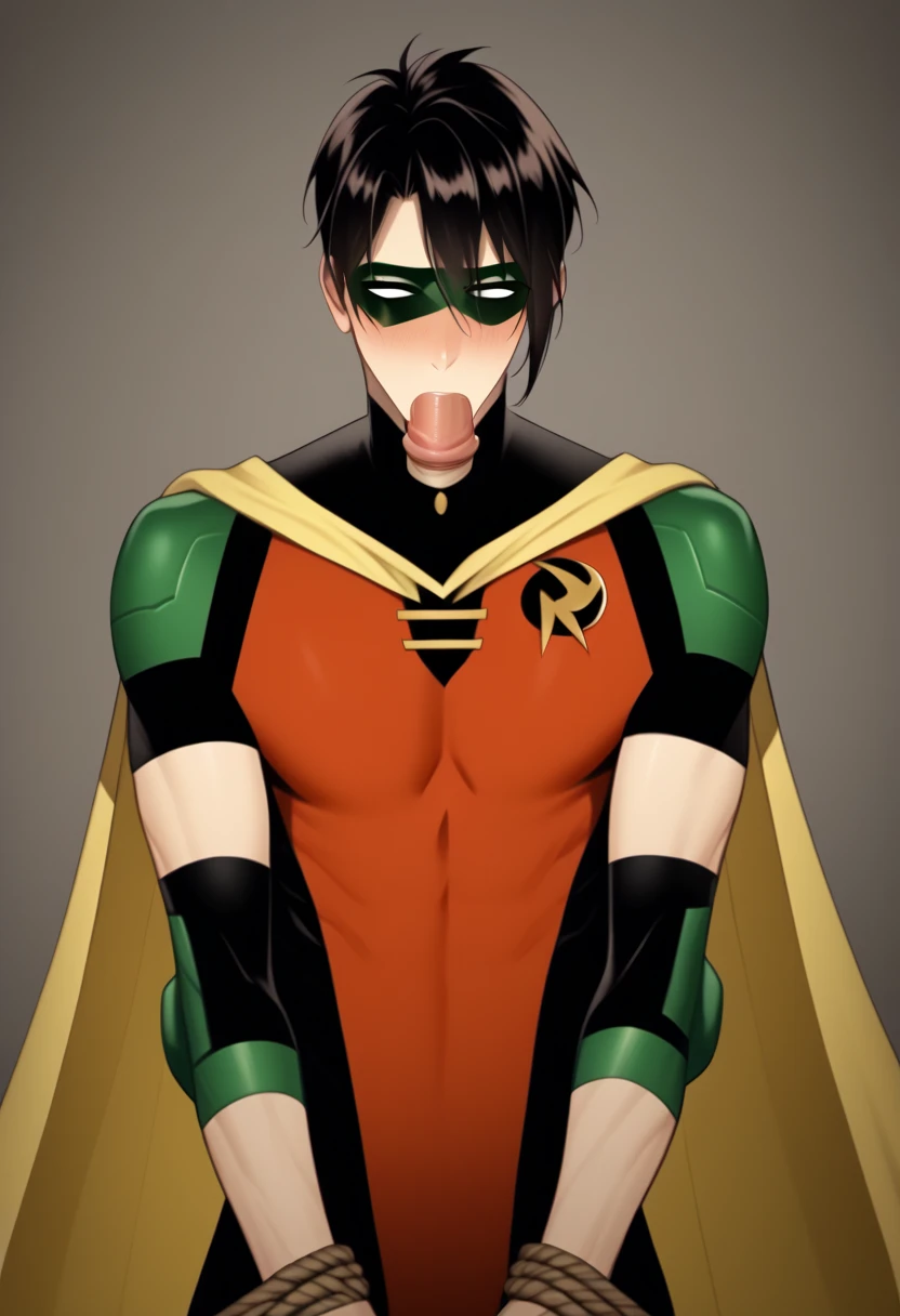 young handsome muscle nightwing getting facefucked by Red Hood, blowjob, nightwing sitting on his knees, small brown pink gradient penis:1.5 with glans and heavy testicles, arrogant rough face, nightwing costume is blue and black colored, Jason Tood has dark gray costume and red mask