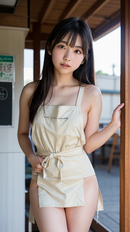 hightquality、masterpiece、ultra res、cute girl face、barechested、Wearing an apron、full bodyesbian、Famous actresses of Japan、very beautif