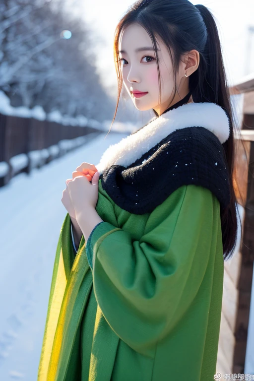 1 girl, (portrait:1.4), (breasts, cleavage:1.25), (underwear:1.3), (white hanfu), (Winter hanfu:1.2), (green cloak, hood:1.2), water, (snow, flying flowers:1.3), <lora:Winter_Hanfu:0.65>, (masterpiece,best quality:1.5), Quiff