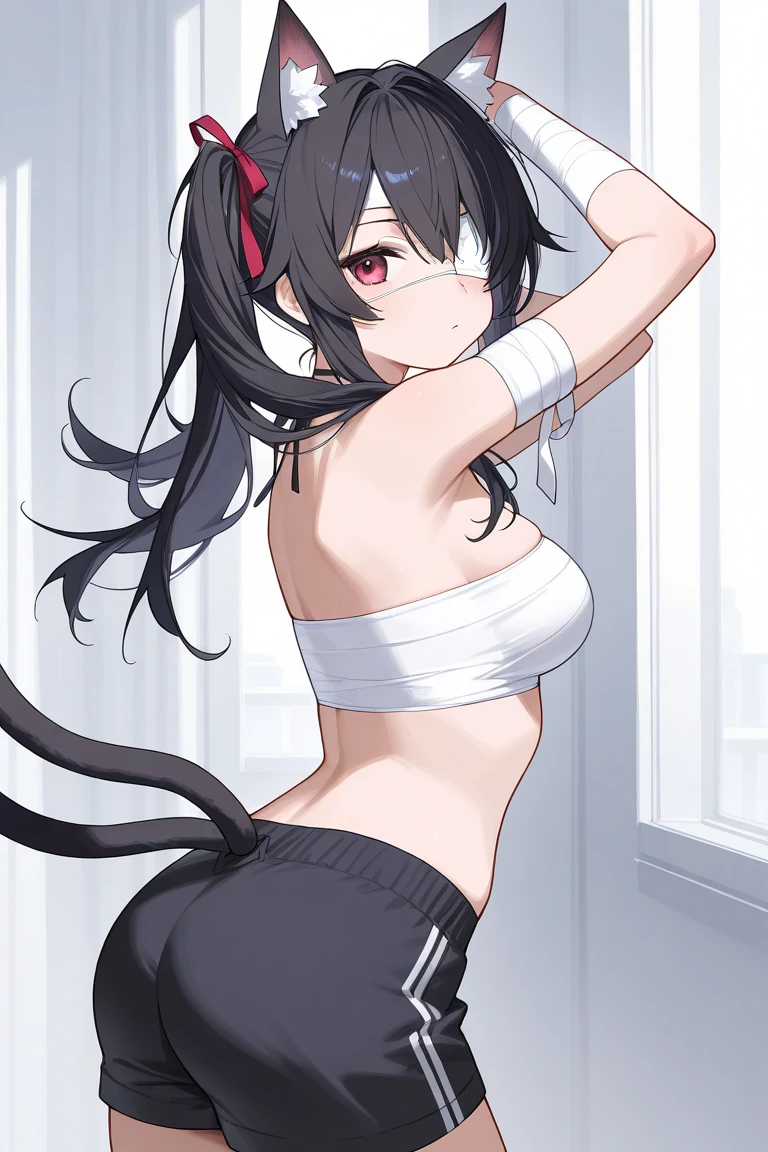 Wolf, all black fur, female, view from behind, sports wear, shorts, small chest