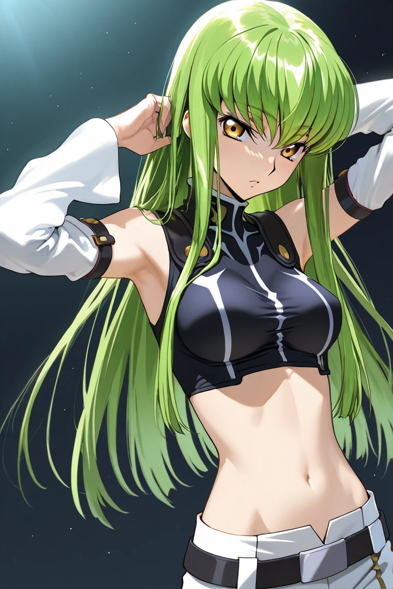 score_9, score_8_up, score_7_up,best quality,masterpiece,aesthetic,very aesthetic,1girl, c.c., code geass,green hair, long hair,medium breasts, yellow eyes,black bikini,mediumshot, simplebackground,whitebackground
