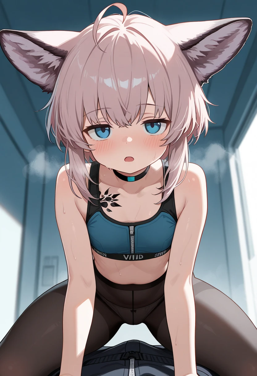 masuter piece,An ultra-high picture quality,Cute One Boy, smooth brown short hair,The head has realistic white cat ears., No person, red blush, Night, Shota, Stick out your buttocks、She seems to want to stroke my butt., Tank top and shorts, brown and blue odd eyes, A white cat tail is growing