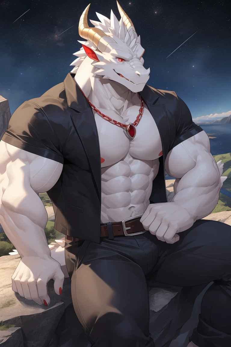 nj5furry,((wolf,hoodie)),white fur,male, kemono, ((extremely realistic shading, masterpiece, extremely detailed, photorealistic)),
((dragon)),strong, mature male, dynamic pose