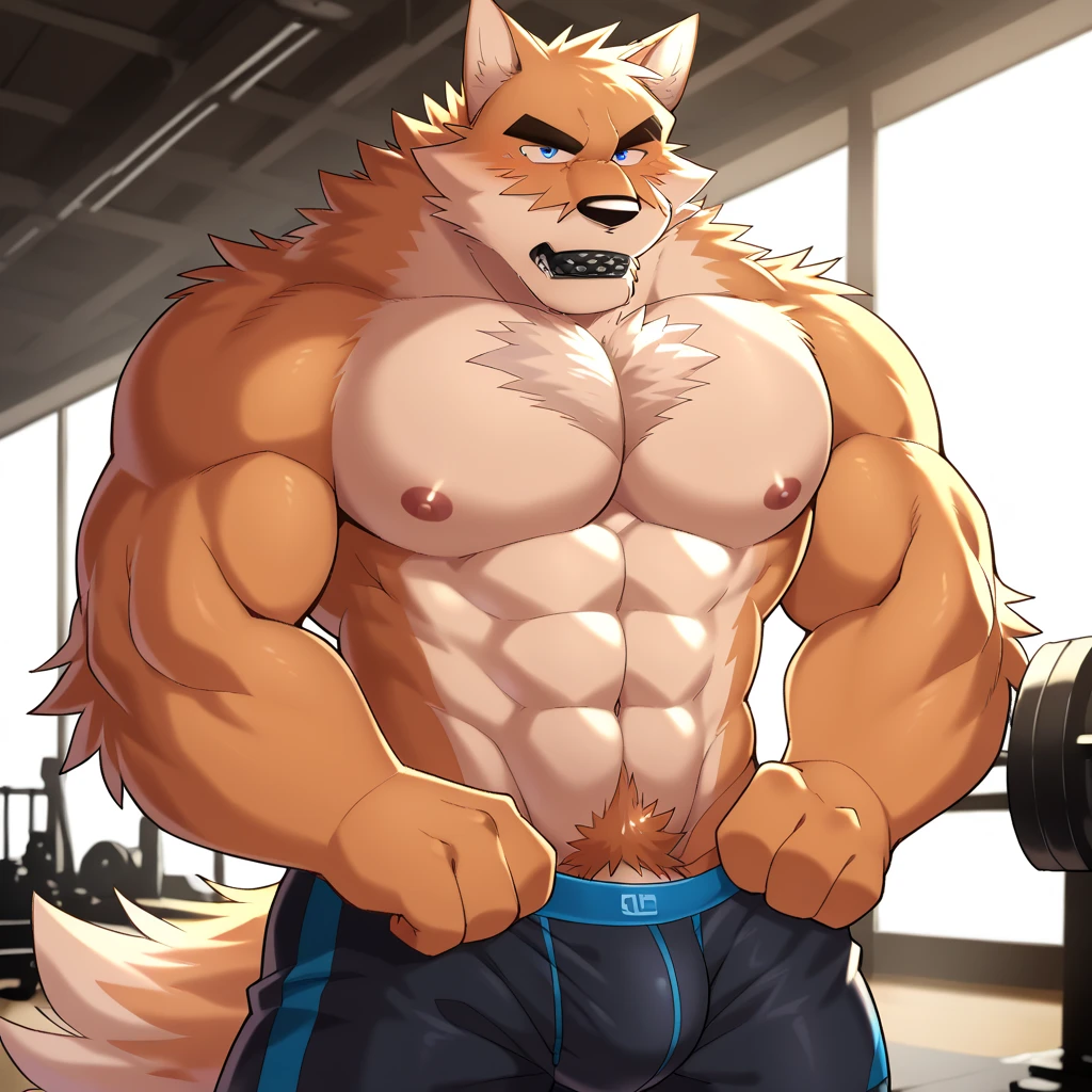 Male, solo, anthro, German Shepard, older male, worried expression, panic, brown fur, gym, (tight gym shorts), detailed lighting, brown chest tuft, ruffled fur, musclegut, belly, focus on belly, belly grab, weight gain, muscular arms attractive, (detailed bulge, detailed genitals), (bare chest), (detailed genital outline), (tenting (shorts)), (outstretched (shorts)), snout, long snout, teeth, perfect eyes, mature male, father figure, dilf, daddy, fangs, wide waist, broad shoulders, strong thighs, white teeth, detailed hands, massive bulge, bulge, detailed crotch, (detailed bulge outline), dramatic lighting, standing, (detailed erection under clothing (shorts))