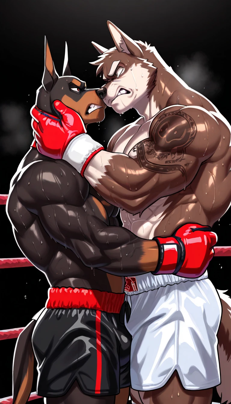 Duo male fighters(Brown Dog vs Brown Dog, handsomes, perfect eyes, Thick eyebrows), beso gay(They are hugging around his necks after of finish a boxing match, side to side), hot(Full body, Shirtless), handsomes(They are handsomes, correct anatomy), musculosos(Big muscle bodies, Six packs, muscle abs, big pecs, muscle legs, muscle backs), sweaty(very sweaty wet bodies), tatuajes(they have tattoos), Angry(They have an sexy angry expression), Boxing gloves(They both are wearing boxing gloves), Shorts(They are wearing black boxing shorts), Hight resolution