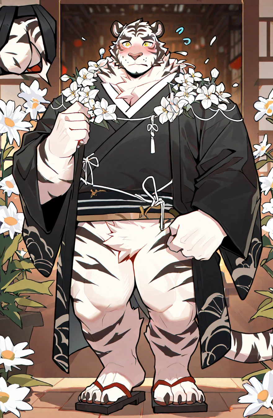Furry rat Male gay , wearing Japanese clothes ,big wide butt, Black underwear ,Full body, legwear , poses ,Butt Focus ,muscular
