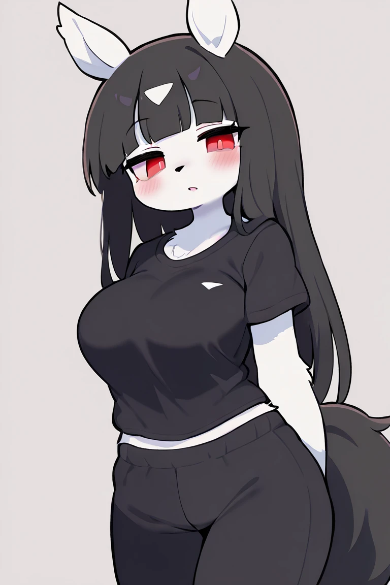 (masterpiece, Highest quality), Intricate details, 8K, Wolf Girl, whole body, (1 person), Red eyes, Big Breasts, Slim figure, furry, Long Hair, anime, expensive, Black Hair, Black T-shirt, Red trousers, Town, 10th Generation, The wind is blowing, Hair is flowing, Expressionless, Upper Body, noon, stomach