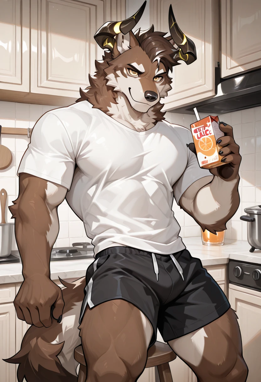 furry, anthro, alaskan malamute:1.5, solo, average male, naked, standing in a kitchen holding a coffee mug looking slyly at the viewer:1.3, super detailed, detailed face, best art, 8k, vibrant, by taran fiddler:1.8, by RedRusker:1.8, art stile, 3D, halfbody,