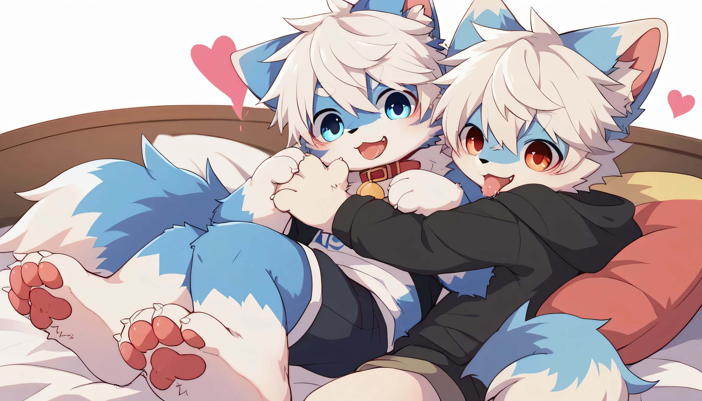   Very Detailedな,Very Detailed,White hair,濃いblue fur ,, male,blue fur, EXCITING,Participation,cute face,,あなたの脚Show me ,,Horny  maleの子,dog tail,,red collar on the floor,Cute ears,Licking hands, grooming,fluffy ears,hoodie,shorts,fluffy ears,Show me,私に猫の手Show me,red collar on the floorと紐を持っている,Two horses,brother,hugging(sitting on bed)cute fur ,Heart Eyes,Horny, male,Black Back,white background, 