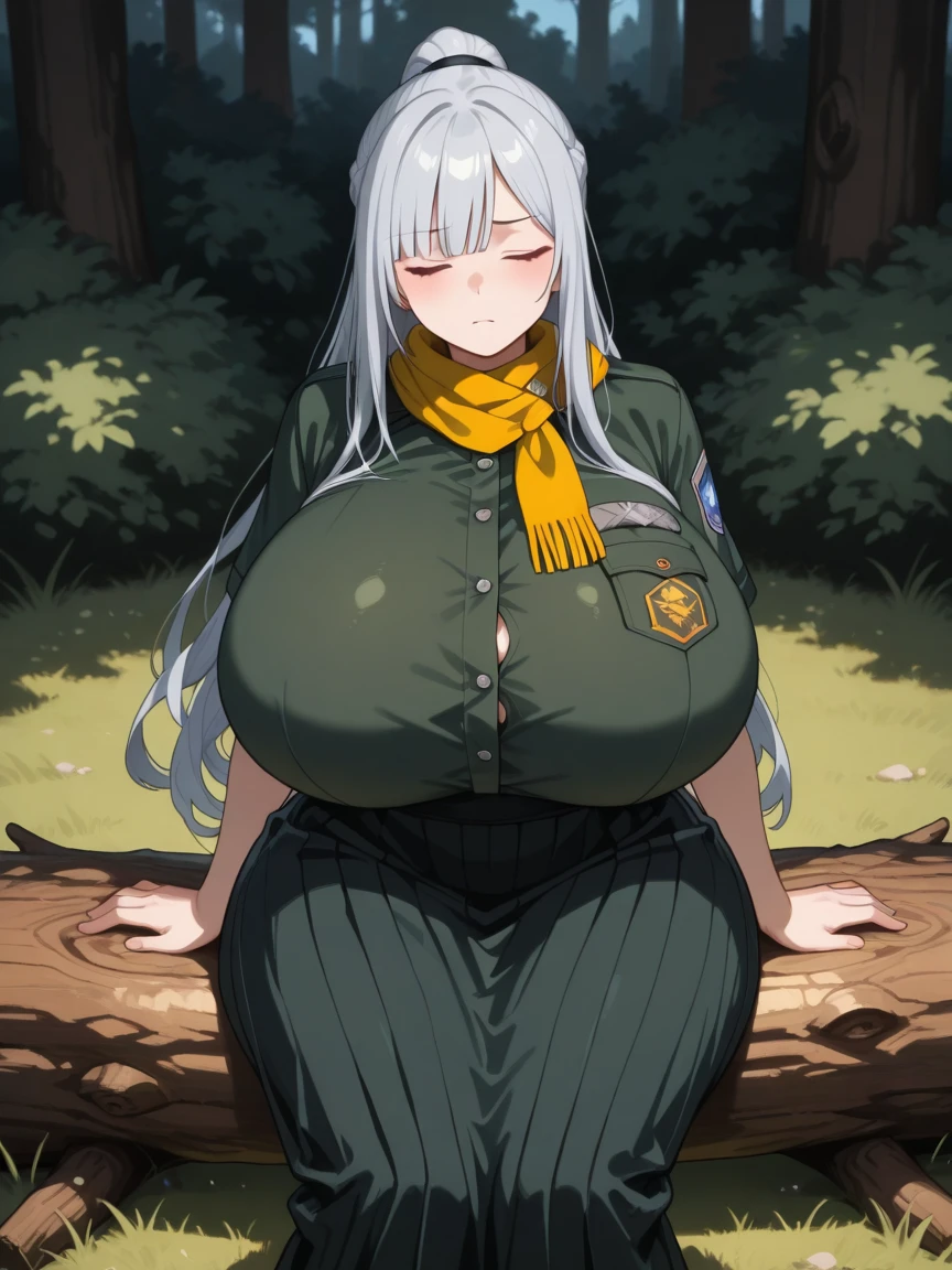 A girl who wears military clothes, brown heirs, gigantic breasts, anime cartoon, german third reich, ((highest quality)), ((masterpiece)),