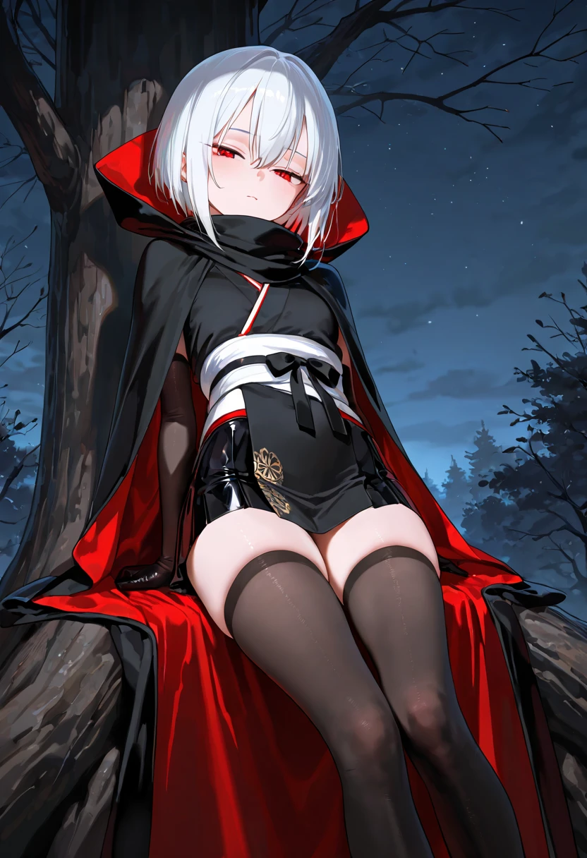 Ajof, side locks, golden hairband, hair adornments, ((Red eyes:1.5)), gold earring, Large breasts,((black hair:1.5)),
BREAK ((black cape, black footwear, black ribbon, black shirt, black thighhighs, cape, grey skirt, hood:1.5)),
BREAK bdsm, (bondage:1.2), (bound_legs:1.2), interracial, navel, nipples, (sex:1.2), vaginal, arms behind,
BREAK (masterpiece:1.2), best quality, high resolution, unity 8k wallpaper, (illustration:0.8), (beautiful detailed eyes:1.6), extremely detailed face, perfect lighting, extremely detailed CG, (perfect hands, perfect anatomy),