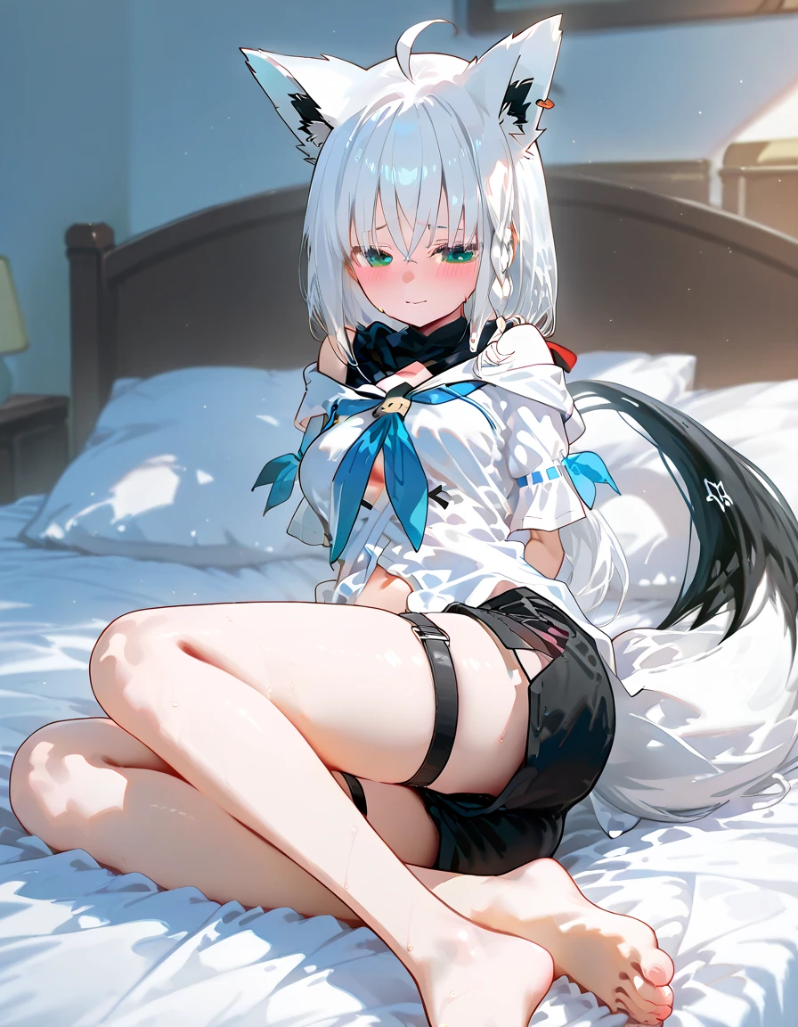 (masterpiece:1.2), (highest quality:1.2), perfect eyes, perfect face, perfect lighting, middle ages, room, 1girl, aqua eye, ((((((hair over one eye,)))))), Braidスタイル, spike hair, dull bangs, black_bob hair, Braid, Ahoge, robe ((((Transparent white bikini armor)))), Thighhighs, cute eyes, Medium chest, bright, (open_legs:1.3), open your mouth, vivid description,orgasm, I was scared, (abs:0.6) Ahegao, smile+Happy, tooth, anger, sitting,creining,apart_legs,wolf_ears,fang,wolf_tail,crotch,groin,rise_knee