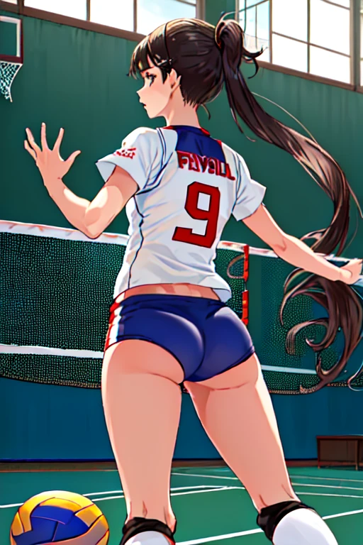 Horse volleyball player