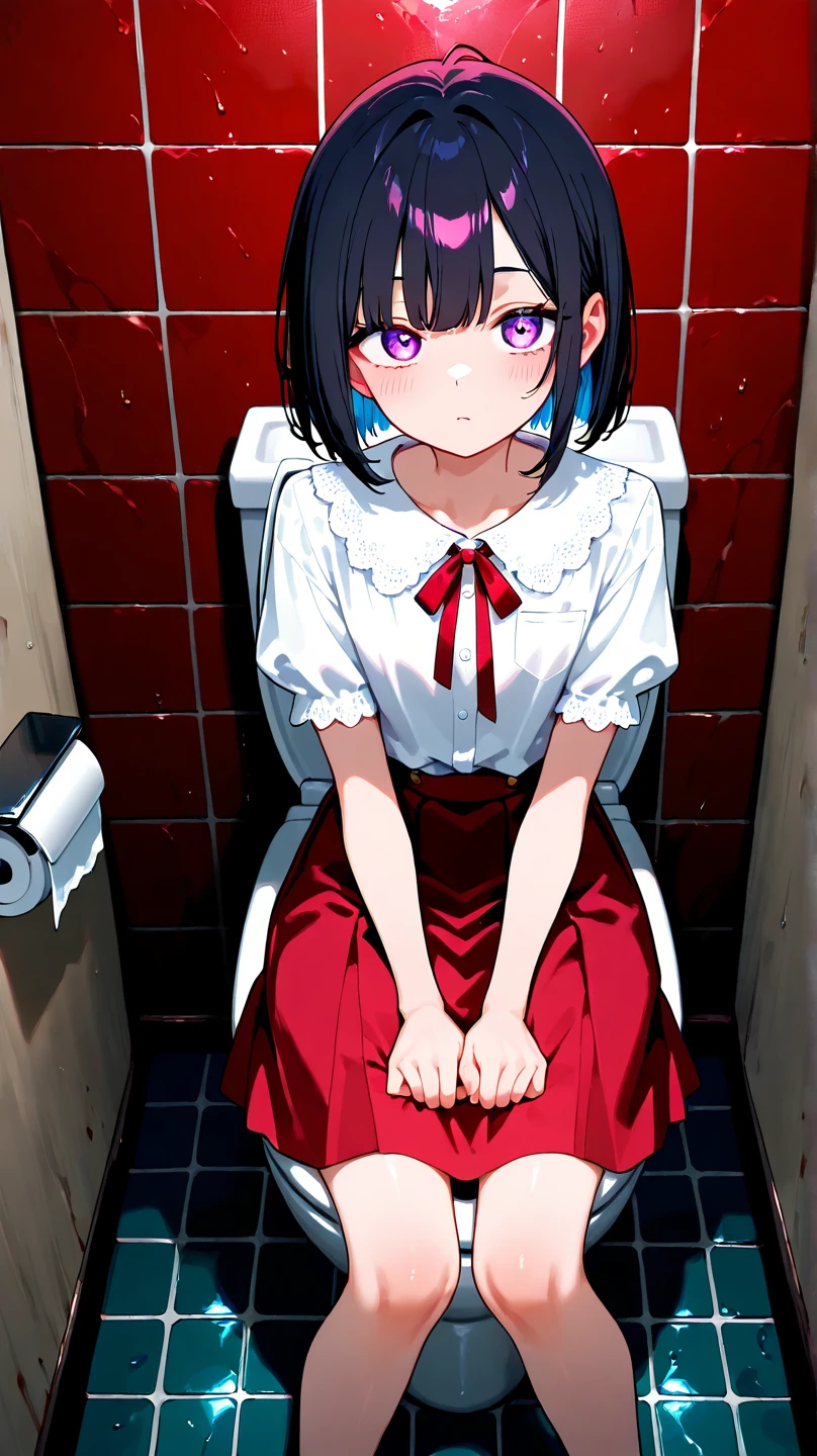 evening、toilet、Ms. Hanako、Black Hair、Red Skirt