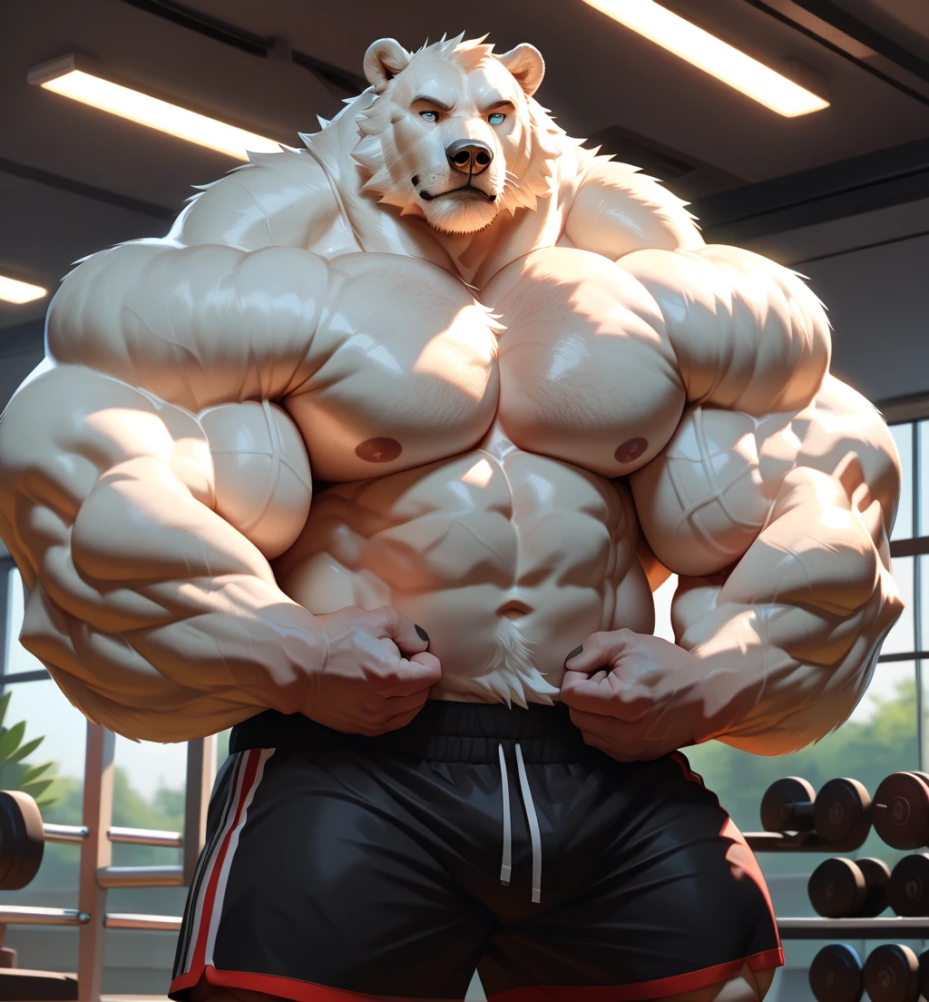 solo, 1boy, Huge Muscular White Polar Bear, huge white fur, pectoral, huge pectoral, wide pectoral, short white hair, ((really big muscle, massive muscular, sixpack, thick arms, wide pectoral, super huge muscle, hyper muscular, over sized muscle, huge arms, big arms, huge pectoral)), black gym short pants, black wristbands, fingerless gloves and shirtless and topless, white bearded, white Mustache, white fur, grey eyebrows, gym fitness center background, masterpiece, high detailed, 8k, high resolution, at the gym, flexes huge thorax, looking at the viewer, acting all hunk
