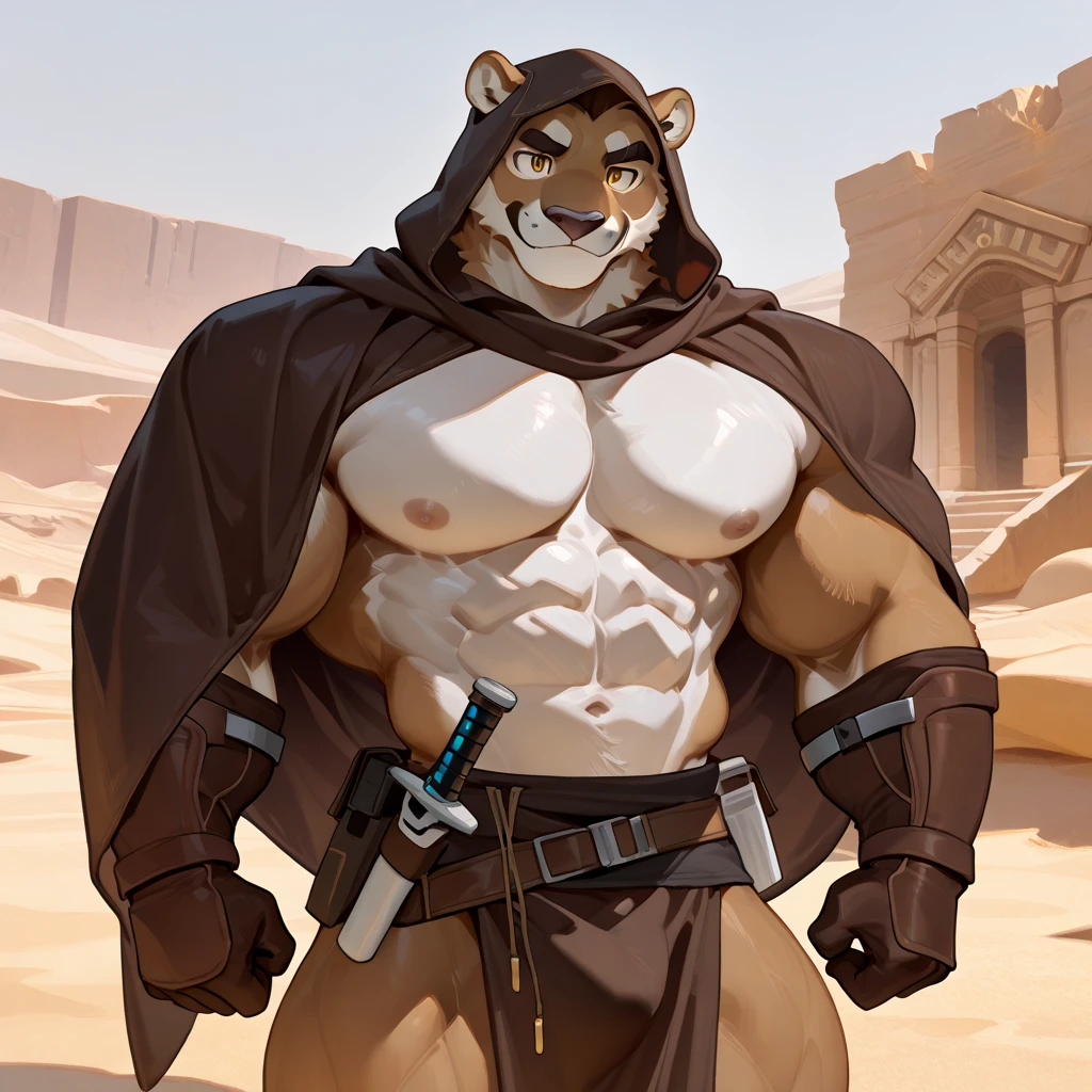 ((Solo)), (anthropomorphic:0.9) dark gray lion, (black mane:0.8), short, front fringe, light gray belly, (teen:0.8),(muscular:0.8),(hoodie:0.9) smiling, happy facial expression, sweatpants, (from chunie).