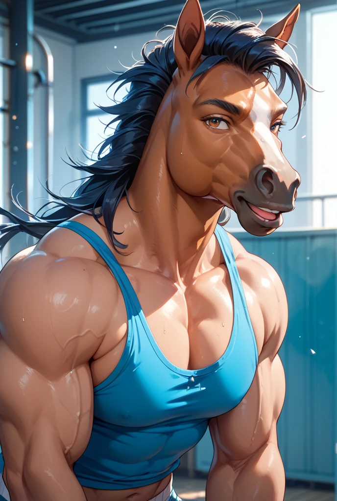 Horse short shorts gym
