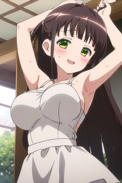 (megami magazine, anime poster style, shueisha style, anime cels style, best quality, high resolution), Kotegawa Yui, long hair, black hair, (beautiful detailed eyes:1.8, beautiful face:1.5), 1girl, cute, (sagging large breasts), cleavage, (black maid bikini:1.5, waist apron), upper body, maid gloves, elbow gloves, outdoors, farm
