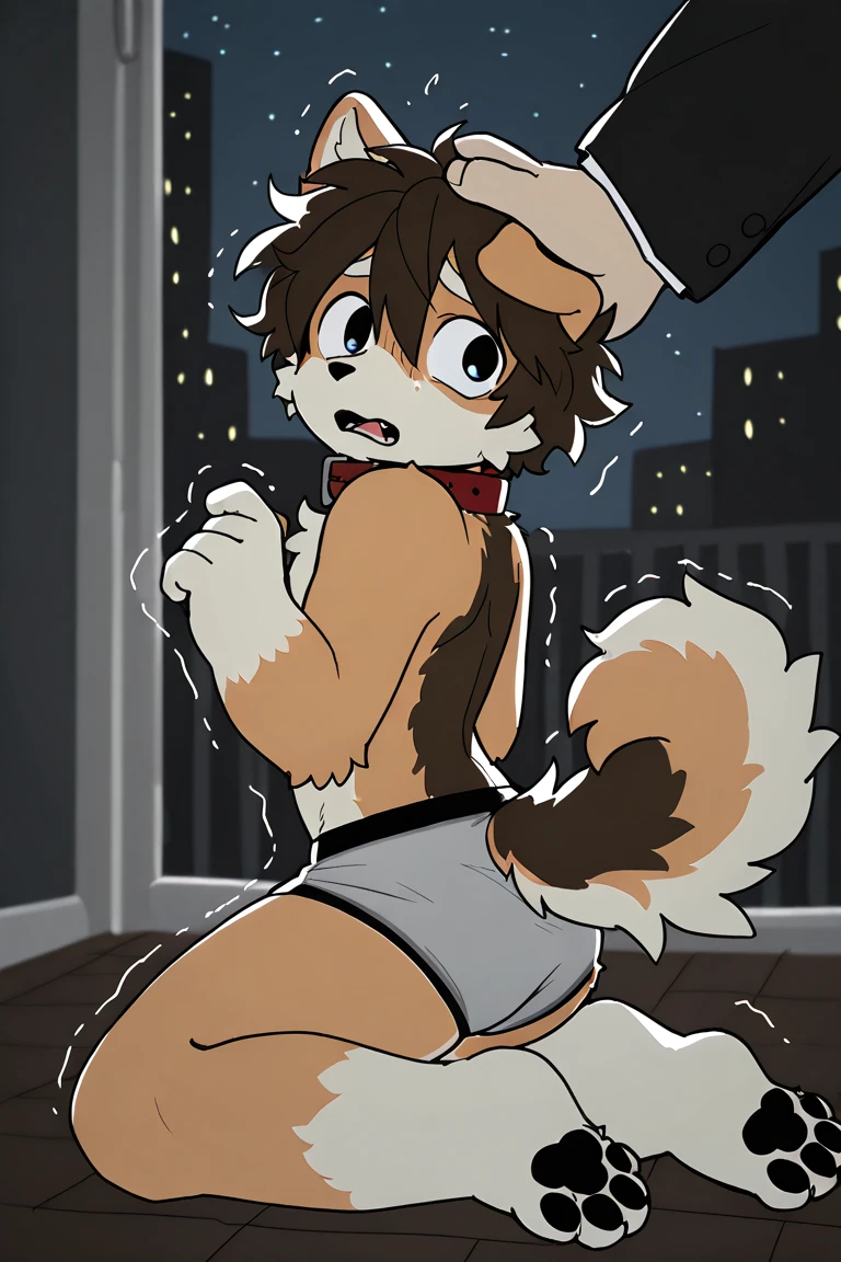 boy, squirrel, furry, bodyfur, blazer, bottomless, color tights, gloves, boots, chibi, happy, sparkling eyes, from behind, standing, against wall, facing away, outstretched hand, looking back