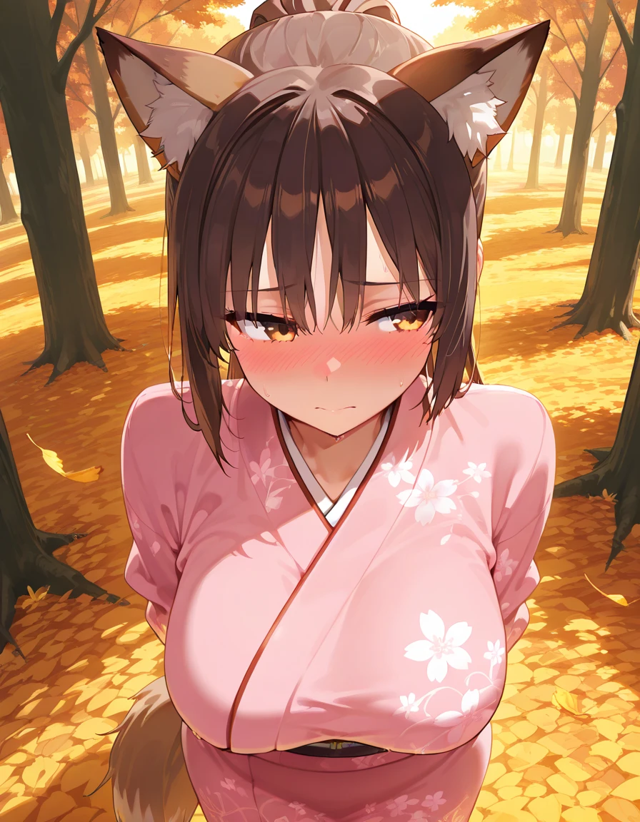 (Fox Girl, Fox Ears, Black colored hair, Fox Makeup, One Girl, Long Hair:1.6), (kimono, Kimono with open chest, A beautiful kimono with red and black patterns, I can see her cleavage, Open chest, Exposed skin:1.8), (Body size is 100-70-90!, Nice body, Big Breasts, Soft breasts, Emphasize cleavage, Knees are slightly visible, Muscular, Abdominal muscles, Grab your own chest:1.9), Avatar, face, lewd face, Dominant representation, naughty face, Uplifting, Skin Texture, outside, Grassy field