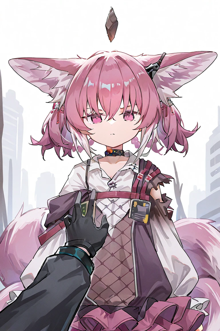 2girls ,
1girl , Shamare_Arknights , 138cm ,
break ,
1girl , Suzuran_Arknights , 137am ,