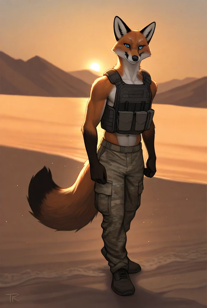 Masterpieces, furry, male, Anthropomorphic, red fox, blue eyes, black mark, veiny, thin body, age 20, Delicate eyes, furred body, war veteran, on a beach, perfect lighting, light particles,(best quality),(masterpiece),(ultra detailed), sharp focus, light particles, detailed barren background, green military pants, shirtless, open jacket fierce look, soldier look, full body, six pack abs