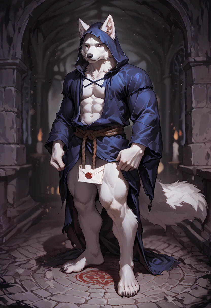 Masterpiece, best quality, fine details, twink, wolf, medieval black cape, trousers, stripes, light particles, magician, gray body, white belly, purple eyes, realistic hands, realistic feet, full body portrait, eyes looking at the viewer, purple hairs on the head, bulges