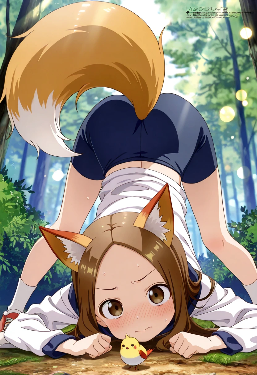 Dog girl student furry futanari anime brown hair green eyes big breasts pajamas short sleeves and short shorts