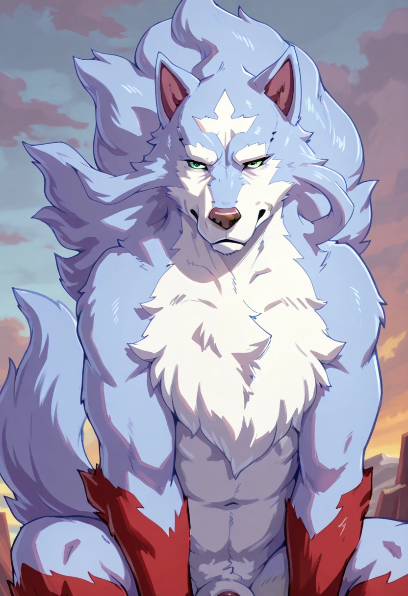 Male, feral, fel, wolf, dog penis, serious face, red paws, red leg, seductive, tall, strongh, green eyes, head mark, front view, sitting, older wolf, musky cloud, fluffy fur, Inu-sama