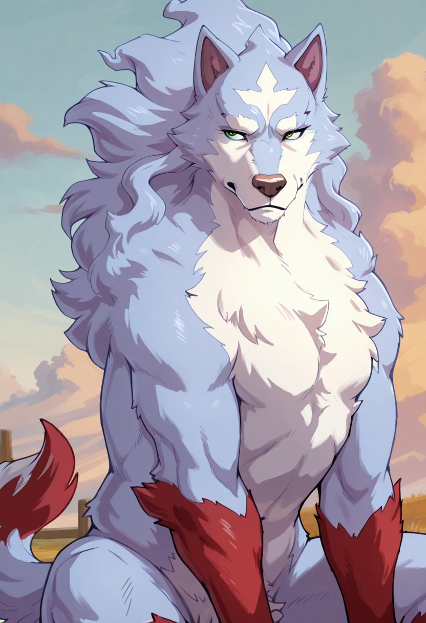 Male, feral, fel, wolf, dog penis, serious face, red paws, red leg, seductive, tall, strongh, beautiful face, handsome wolf, green eyes, head mark, , sitting, musky cloud, fluffy fur, Inu-sama, masterpiece, accurate, anatomically correct, textured skin, super detail, high details, high quality, best quality, highres