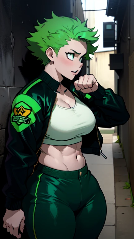 ((illustration)), (best quality)), ((masterpiece)), (detailed), benuaf, 1girl, brown hair, blue pants, green jacket, bmb-fc, huge breasts, short hair, 