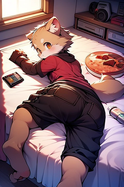 Fox Boy, Living in a doghouse,Red collar, 小さいLiving in a doghouse,bed,