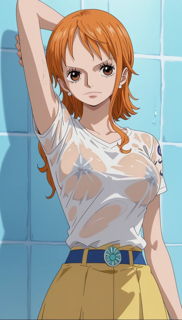 score_9, score_8_up, score_7_up, source_anime, anime_style, 2d, nami, one piece nami, 1girl, solo, large breasts, short hair, blush, shower room, nude, nsfw,