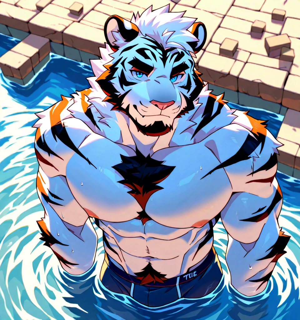 1 Men, Young men, pervert smirk, 独奏, white skinned, musculous, Muscle men, highr,large pecs, big bicep, Abs, upper legs, Wide shoulders, Wide open chest, Facial hair, with short black hair, Wet body, Wet hair, of a shirtless, Sit and relax in the hot tub, white swim trunk, audience looking, A high resolution:1.2, best qualtiy, Upper body shooting, Flat style, Blue sky and hot tub background, Low camera angle、Volumetriclighting、depth of fields、shadowing、humid environment,Orange skin, Golden eyes, Gray-blue hair and beard, Tiger furry,