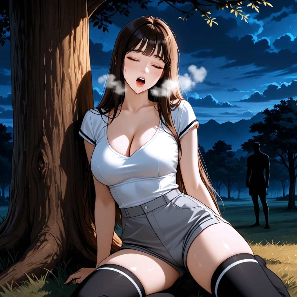 Dog 1、Woman 1、Red miniature dachshund、Red miniature dachshund long hair、dog&#39;color is red、woman with very long black hair、Busty women、Spectacular views、Night Scene、The view from the top of the hill、Full moon night sky、swirling starry sky、８K、Best Quality、詳しいdogの顔、The woman is facing the opposite direction、Ria、I can't see a woman's face、The whole body is in the photo、Like the night view of Tokyo、The woman is wearing a miniskirt and her underwear is visible.、Pantyhose legs、Female squatting
