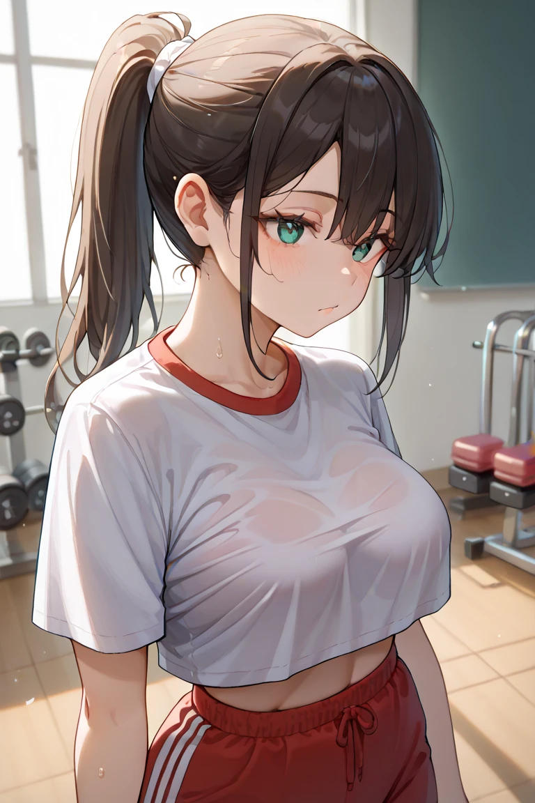 ((Browsing Caution))、Ultra-High resolution、High resolution、Highest quality、beautiful girl、Short black hair、Slim and model-like、whole body、((Gym、trainer))、((((Masturbation))))、((White T-shirt))、(((Squat)))、Big Breasts、(((Sweat)))、(((whole bodySweatでびしょ濡れ、シャツの色がSweatで変わる)))、(((Sweat染み)))、(((Body odor、body odor)))、(((pussy、Love juice)))、No underwear、(((Sour smell)))、Nipples become erect、((((Masturbation、Climax、Squirting))))、White sneakers、White socks、blush、Angle from below