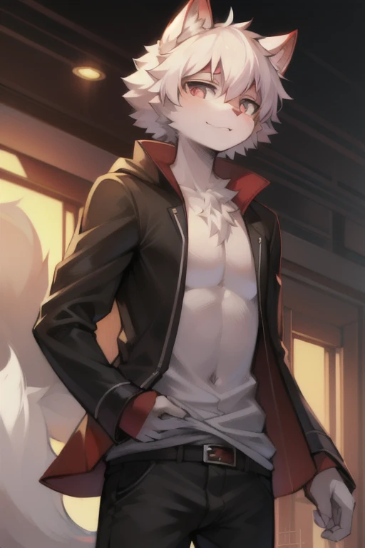 Fluffy, Full Body Hair, White fur belly orange fur, eyes with brightness, cute , thin, orange short pants, press down, fluffy ears, cute , Abs, Taut , Touch your  with both hands.