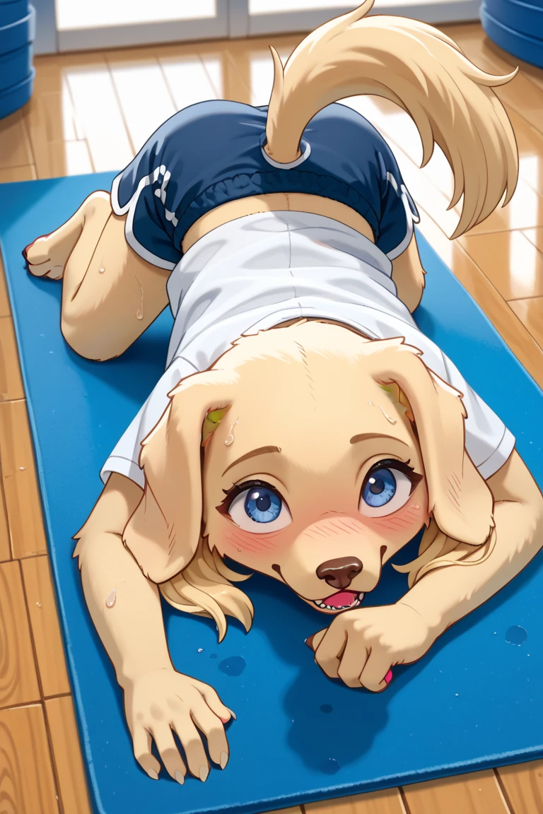 masterpiece、 1girl,((1girl,1dog)), vaginal sex, kneeling, bent over, sex from behind,doggystyle, from side, arms behind back, arm grab creampieclosed one eye
（nsfw）high quality、ultra highle、master piece、(slant eye)(masturbation）（blonde blue eyes）(little girl)(petite)(small breast)(small nipples)(14years old)((Short long hair))(yellow hair)(hair between eyes)(messy hair)(hair intakes)(side lock)（small breasts）（Ccup）（petite）（low length）pink nipples、Close your eyes、Crying face、、Touching the nipples、School Swimsuit、