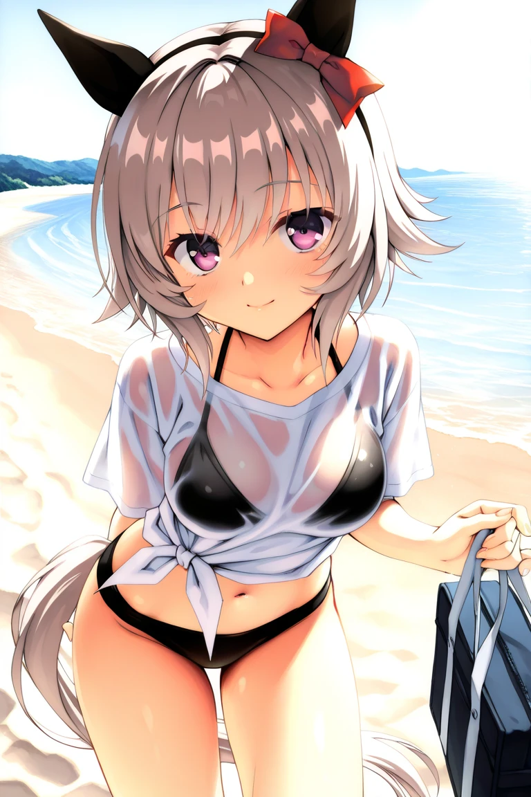 One girl,Kaoru、The whole body is shown、slender body,ideal ratio body proportions,Gentle expression、smile、blush、Shyness、Sitting、Leg spread、looking viewer,See-through string bra、bottomless,Pink vibrator penetrates her crotch、noon、Ocean、beach、blue sky、A complete depiction of the human body、masterpiece, Highest quality, Game CG, ultra detailed、highres、extremely detailed CG