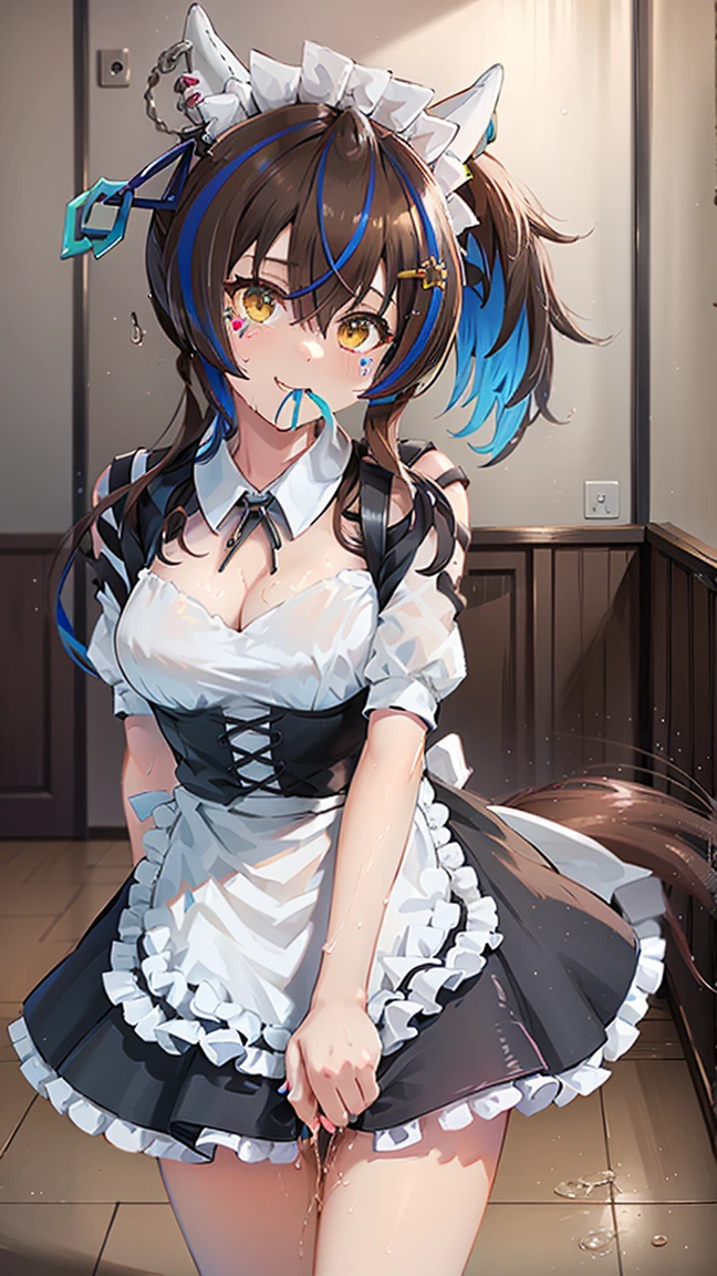 masterpiece, Highest quality, High resolution, Very detailed,(((Daitaku Helios))), (((Black underwear))), (((Maid clothes))))