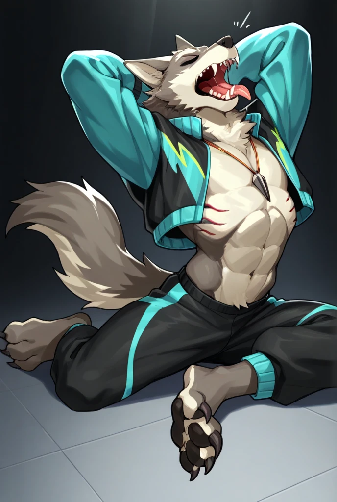 Male, robot Gray wolf, detailed green eyes, long tail, big nipples, slim, sly, simple background, smirk, bulge,  tail wrapping around body，((Fighting Stance))，((a robot wolf showing his sexy beautiful legs and feet))，(split)，kick
