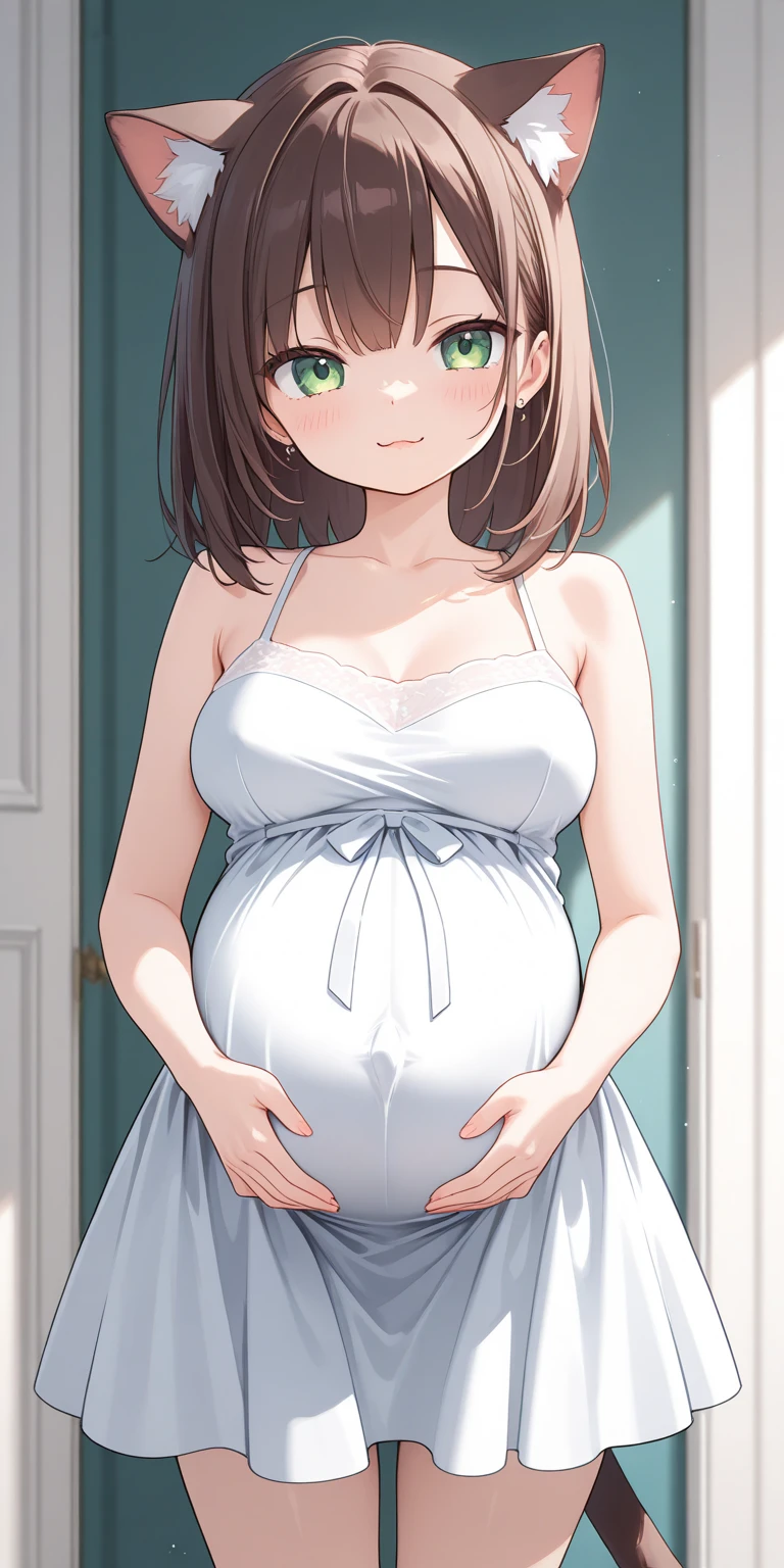 ((masterpiece,best quality,ultra detailed)),((Anime Gravure style)),((pregnant girl,frilly clothes,maternity dress)),