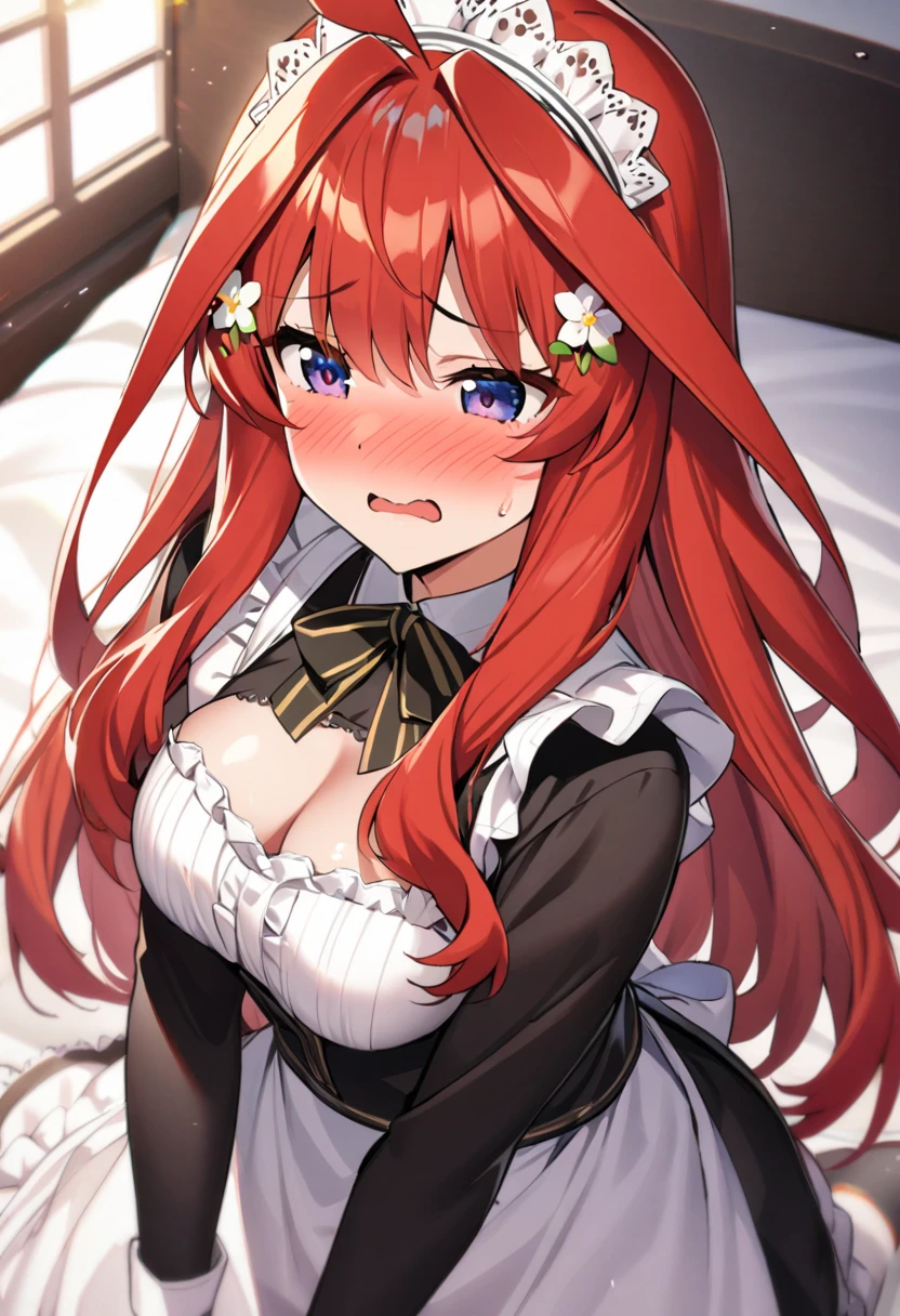 (Best quality details:1.22),realistic,8K High definition,Detailed,High quality texture,intricate details,detailed texture,finely detailed,high detail,High quality shadow,Detailed beautiful delicate face,Detailed beautiful delicate eyes,Depth of field,(beautiful 18 year old sexy korean lady:1),blurred spacestation background, 80mm, Unreal Engine, UHD, expressive, earrings,necklace,
large chest, simple blurred indoor spaceship background, cleavage, revealing top,
, black stockings, , white gloves, <lora:conceptVacuumFellatio_v11:0.95> vacuum fellatio, penis grab, penis:1.1, 1boy:1.1, (sucking a penis:1.1), 1man:1.1, (penis grab:1.1), surprise deepthroat, pov, (penis from male body:1.2), from top|pov|front|below|low, blushing:1.1, embarassed:1.1 <lora:StarRail_Himeko_AP_v1:0.8>