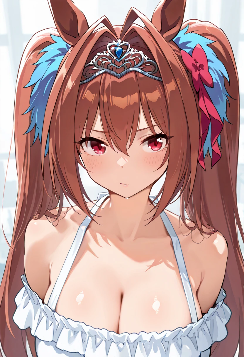masterpiece, best quality, extremely detailed, (((Daiwa Scarlet,))) (((umamusume,))) 1 girl, young, cute face, (huge breasts,) (gleaming skin,) (oil,) (gleaming skin,) (glistening skin,) very long hair, twintail, hair between eyes, ahoge, shiny hair, brown hair, red eyes, tsurime, slant eyes, pale skin, shiny skin, glamorous, (((blue bra,))) (((blue underwear,))) hair ribbon, teenager, fang, ((((sweat, perspired, steam,)))) ((embarrassed,))
